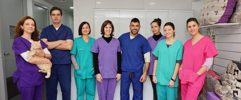 Equipo médico de Clínica Veterinaria El Pinar en la Cañada