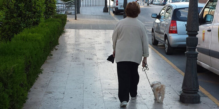 El Censo Canino de ADN de Paterna recibe más de 2.000 solicitudes para registrar mascotas en sólo 20 días