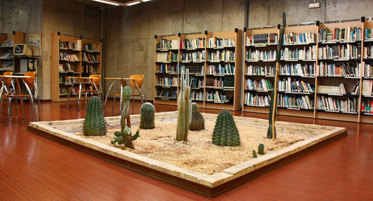 Biblioteca de la Cova Gran