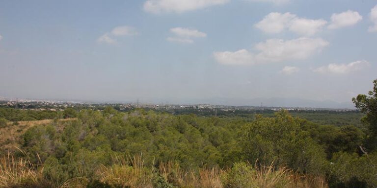 La Vallesa, Paterna
