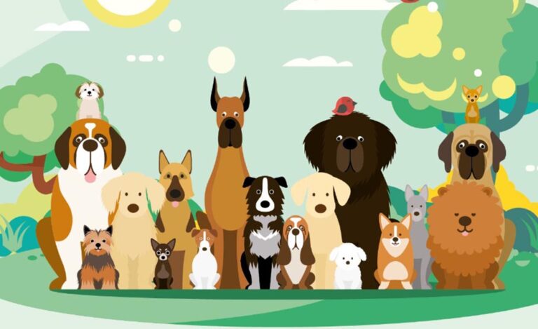 Paterna pone en marcha el curso gratuito de Obediencia Canina Urbana con medidas de seguridad por la COVID-19