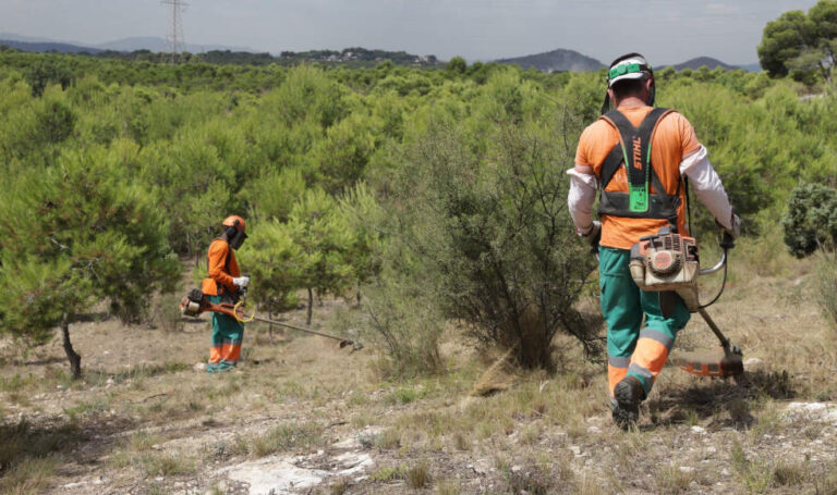 Paterna duplica hasta los 30 metros las franjas de seguridad forestal para prevenir incendios
