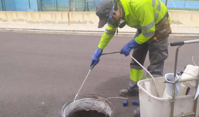 Paterna intensifica los tratamientos para evitar la proliferación del mosquito común y el mosquito tigre