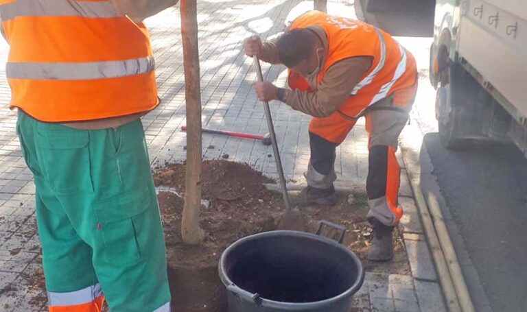 Paterna plantó 1.427 nuevos árboles durante el 2020