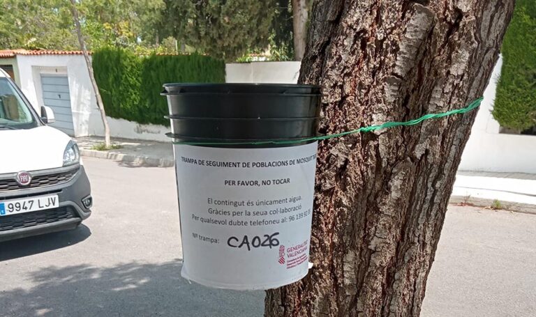 Paterna participa en una prueba piloto para conseguir reducir la población de mosquito tigre