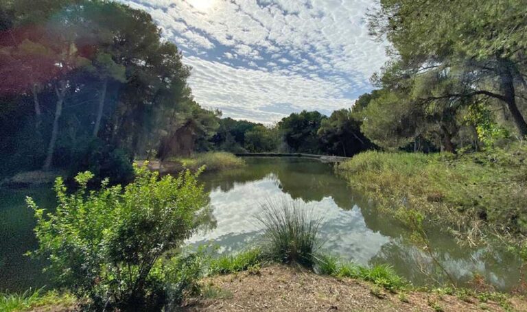 Paterna aplaude el proyecto de Corredor Verde que unirá  la ciudad con la Albufera a través del Parc Natural del Túria