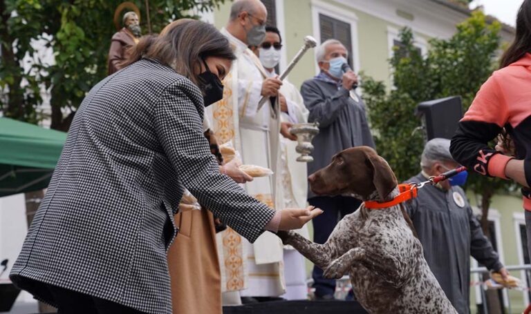 Más de 500 mascotas acudieron en Paterna a la tradicional bendición por la festividad de San Antonio Abad
