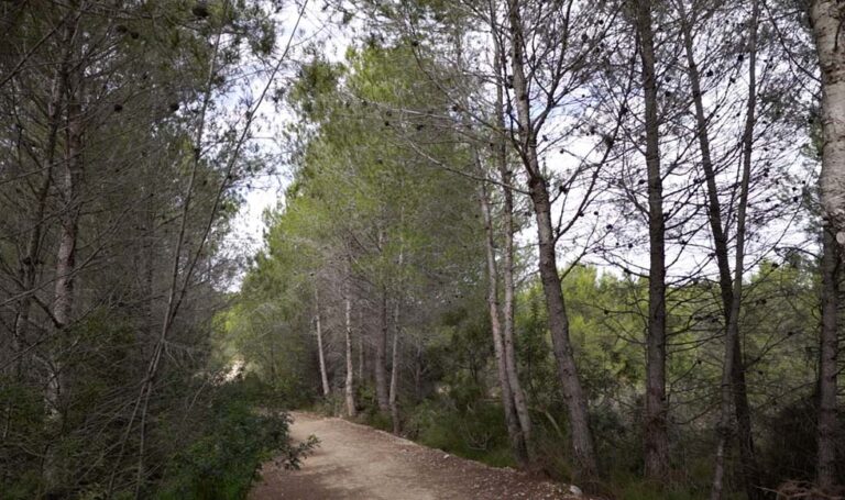 El Ayuntamiento de Paterna organiza Rutas turísticas pascueras por la las trincheras de La Vallesa y el entorno de la Torre y Parc Central