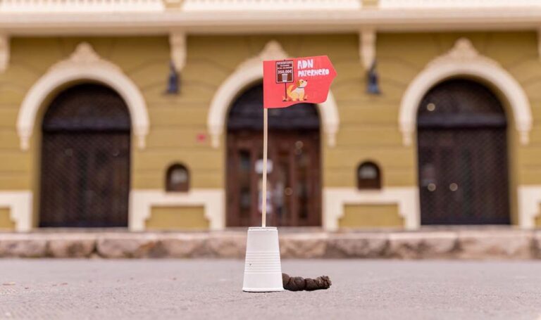 El Ayuntamiento de Paterna comienza a recoger y analizar heces de la vía pública para identificar a los propietarios que no recojan los excrementos de sus mascotas