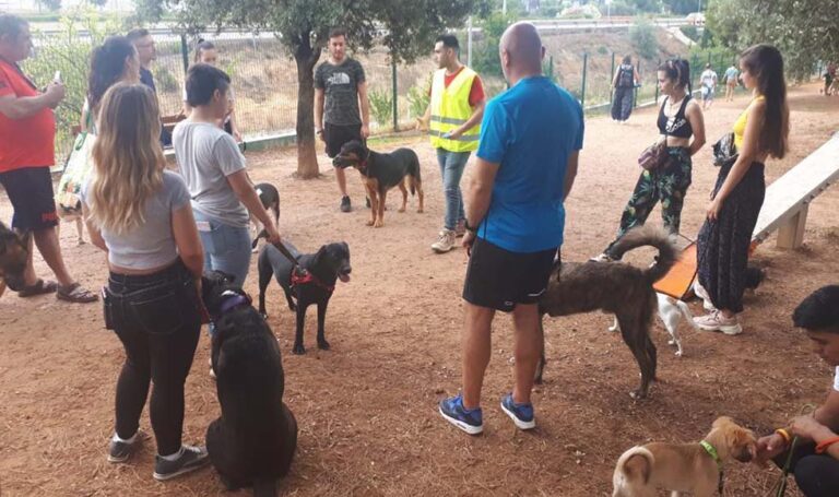 Paterna inicia una nueva edición del Curso de Educación Canina Urbana