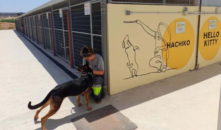 Paterna estrena nuevo Refugio Municipal de Animales