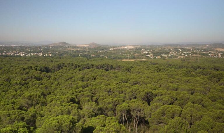 Paterna se opone a una nueva línea aérea de alta tensión por La Vallesa