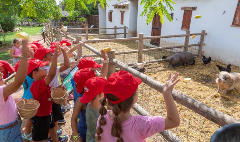 Paterna abre mañana las inscripciones de la Escuela de Verano municipal