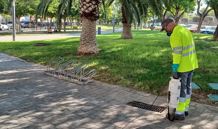 Paterna “pone en jaque” al mosquito tigre en La Canyada y urbanizaciones con un plan intensivo para frenar su proliferación